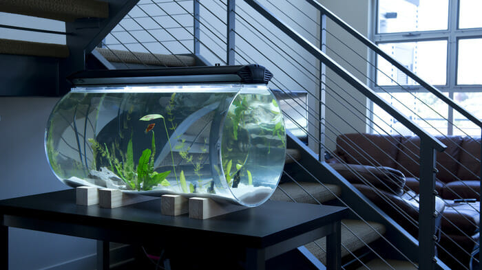 Designer Fish Tanks - Norrom