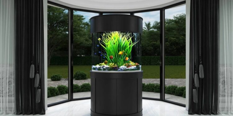 A Complete Guide to Aquarium Placement for Good Fortune at Home