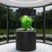 A Complete Guide to Aquarium Placement for Good Fortune at Home